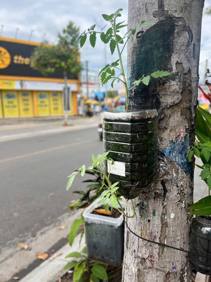 Đất nền mặt tiền đường Nam Kỳ, Đất Đỏ 162m² giá 1.2 tỷ - Sổ đỏ chính chủ, thương lượng!