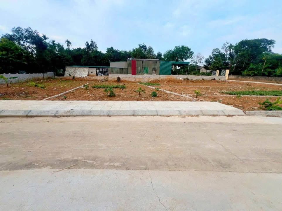 Đất nền Thọ Tân, Triệu Sơn 115m² giá 490 triệu - Cơ hội đầu tư vàng!