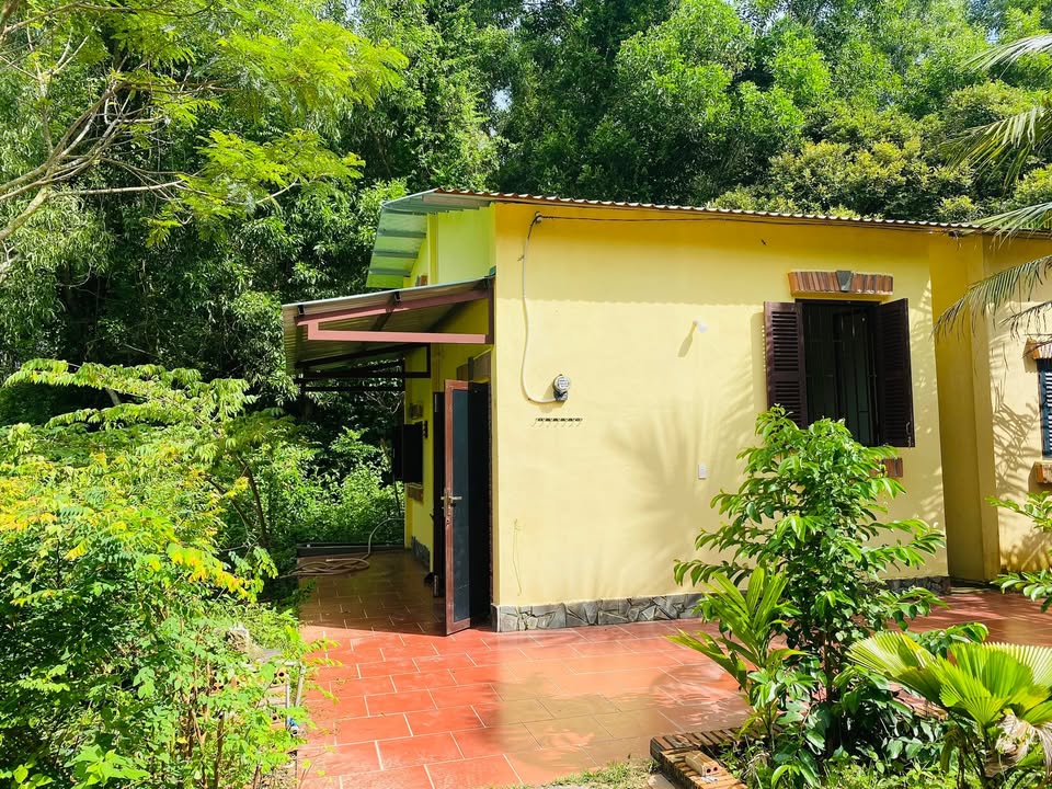 Nhà cho thuê tại Cửa Dương, Phú Quốc 35m² giá 2.5 triệu - Gần biển và chợ!