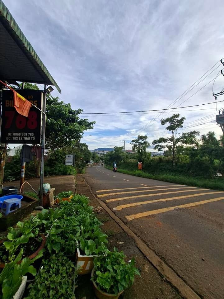 Nhà mặt tiền kinh doanh đường Lý Thái Tổ, Bảo Lộc 324m² - Đầu tư sinh lời ngay!