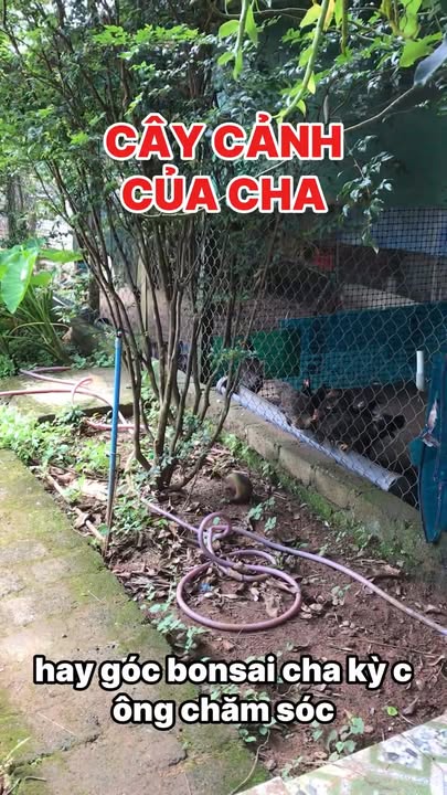 Nhà mặt tiền Trương Định, Bảo Lộc 438m² giá 3.1 tỷ - Tiềm năng đầu tư hấp dẫn!