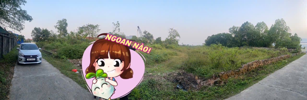 Đất nền Nhuận Trạch Lương Sơn 4390m² giá 18.878 tỷ - Vị trí đẹp, pháp lý rõ ràng!