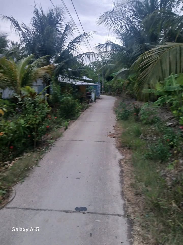 Đất nền mặt tiền lộ ĐAL xã Tân Thạnh 500m² giá 320 triệu - Cơ hội đầu tư tuyệt vời!