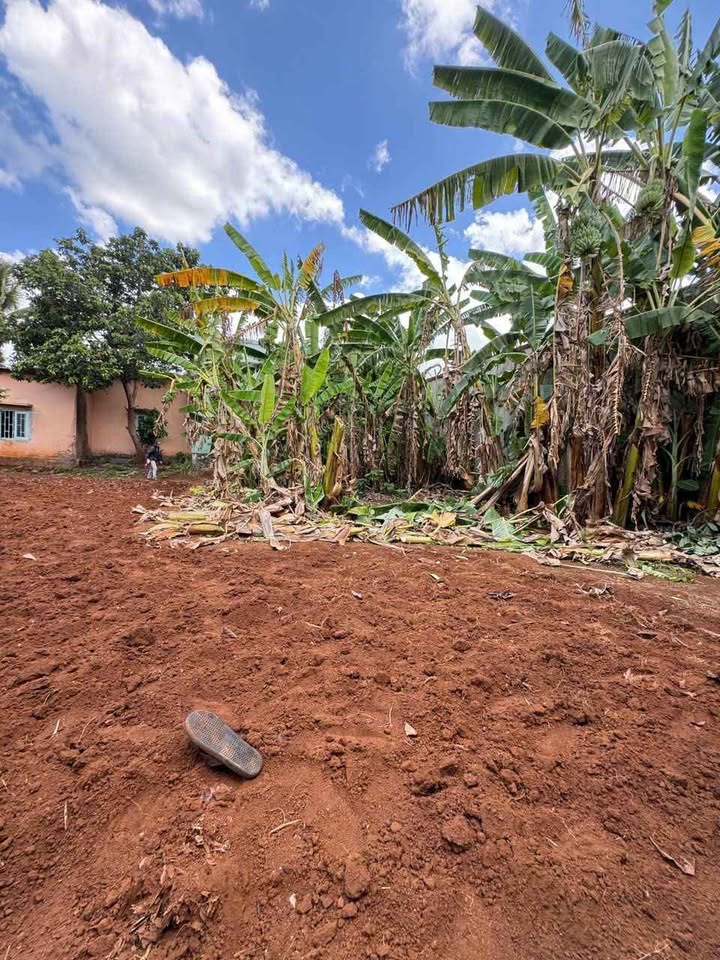 Nhà riêng Đặng Thai Mai, Pleiku 140m² giá 1.4 tỷ - Vị trí trung tâm, giao thông thuận lợi!