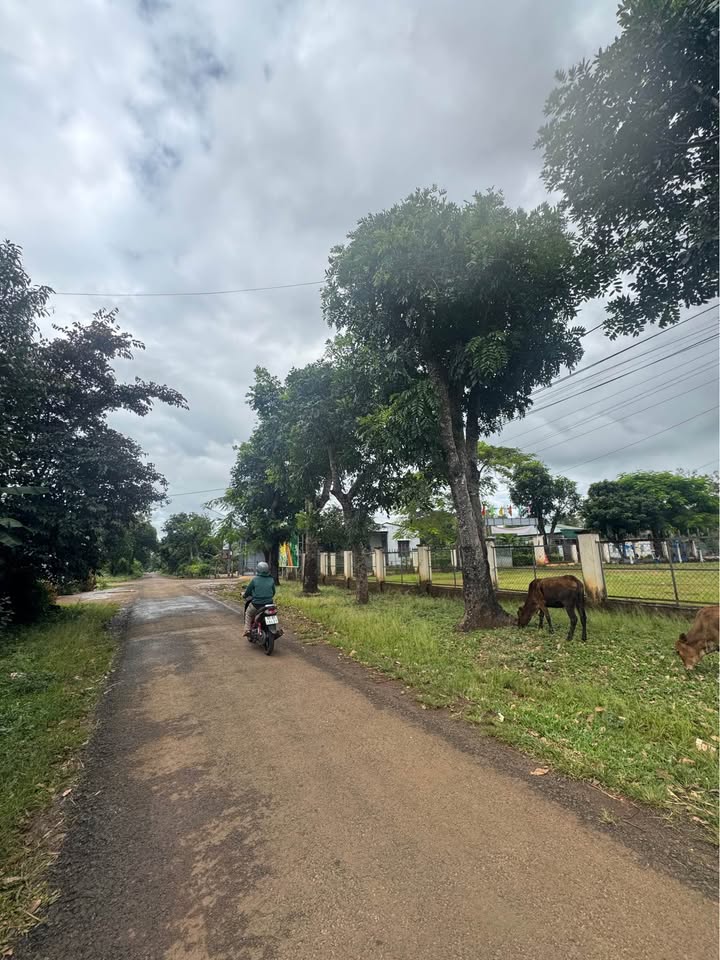 Đất nền mặt tiền đường Ỷ Lan Đẹo 115m² giá chỉ 800 triệu - Cơ hội đầu tư tuyệt vời!