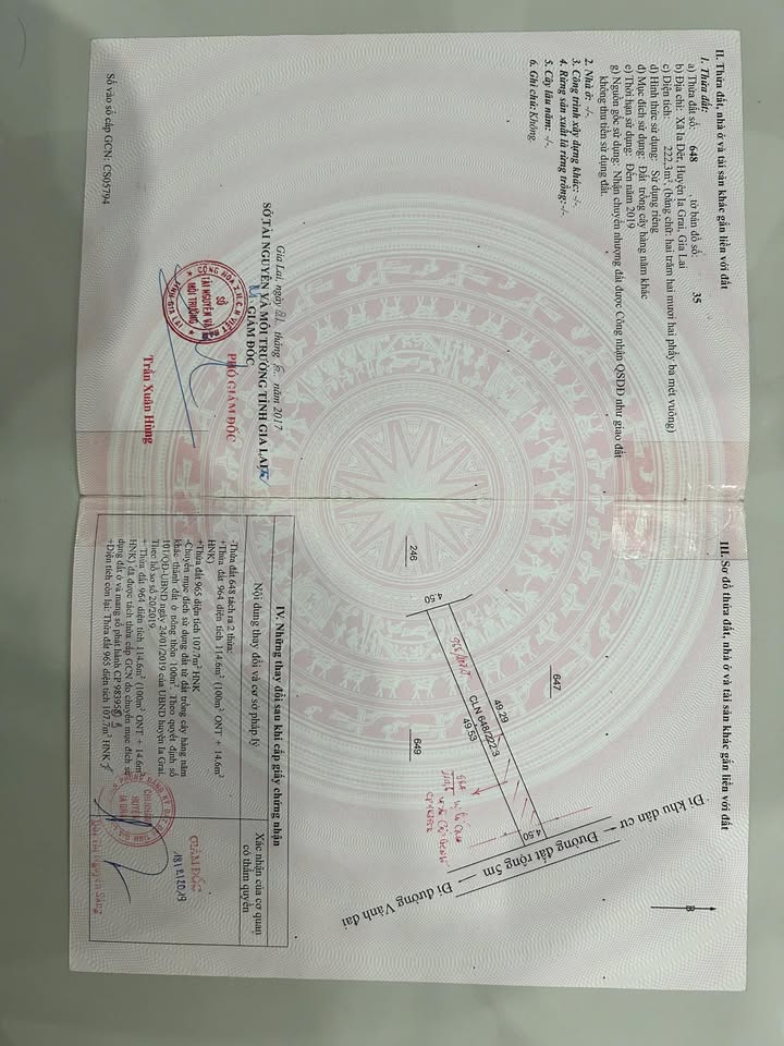 Đất thổ cư 220.5m² đường Phan Đình Phùng, Pleiku chỉ 1 tỷ - Cơ hội đầu tư hấp dẫn!