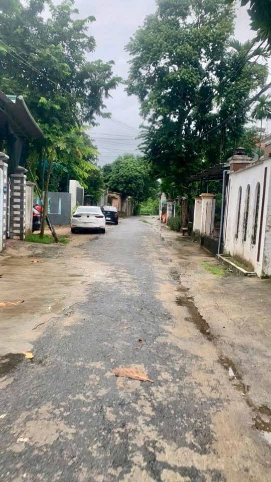 Đất nền hẻm 194 Hoàng Văn Thụ 134m² giá 1.3 tỷ - Đường nhựa 6m thông thoáng!