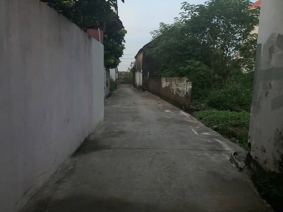 Đất nền 40m² Tân Phú, Quốc Oai chỉ 2.7 tỷ - Cơ hội đầu tư hấp dẫn!