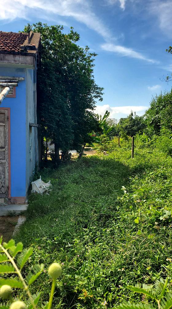 Đất Hòa Bình 1 Tây Hòa 110m² giá 500 triệu - Sổ đỏ chính chủ, đường ô tô vào tận nơi!