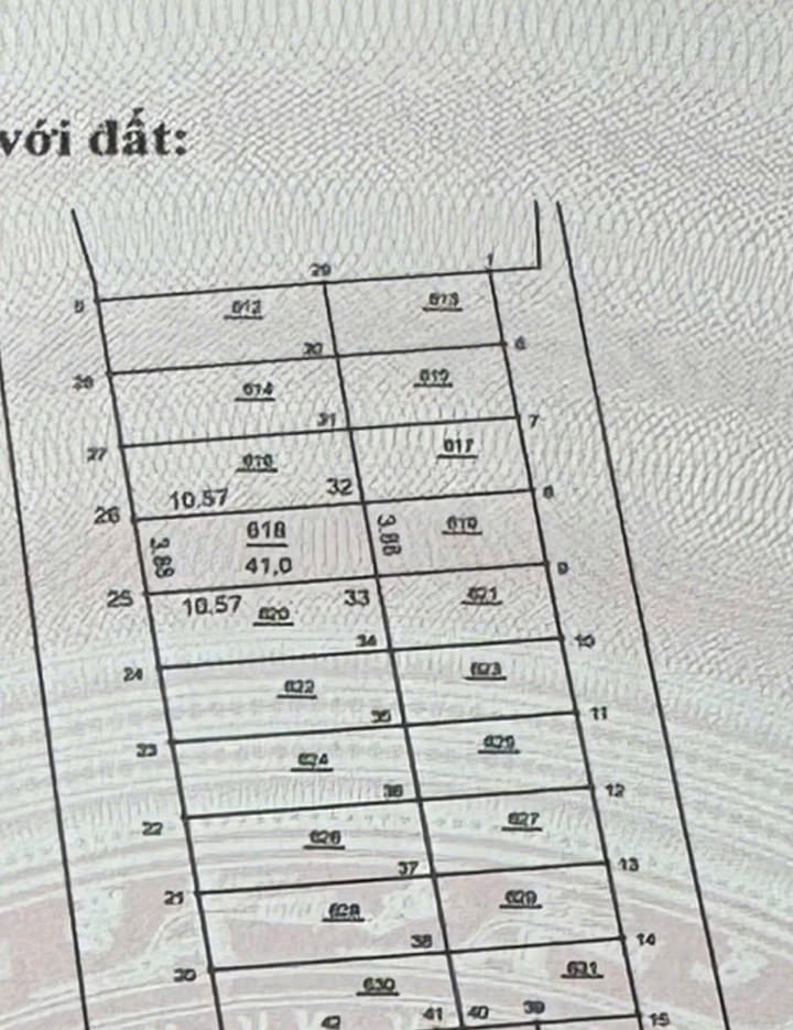 Đất Hoa Hậu Bích Hoà Thanh Oai 41m² - Kinh doanh thuận lợi ngay Quốc lộ 21B!