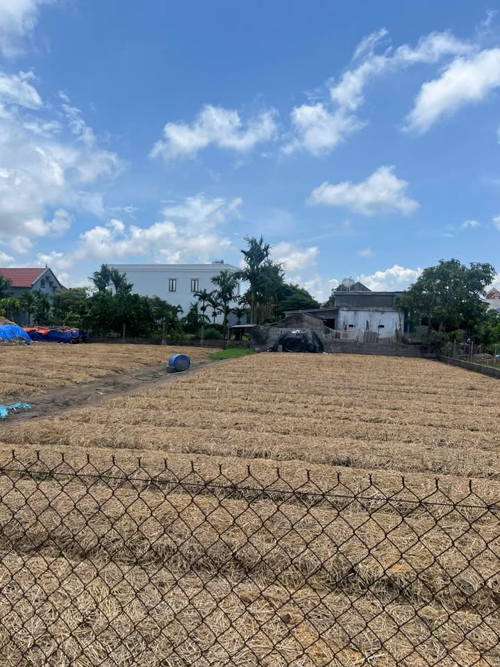 Bán lô đất Đê 58, xóm 9, Nghĩa Hưng, 418m² giá 83.6 tỷ - Vị trí đắc địa cho đầu tư!