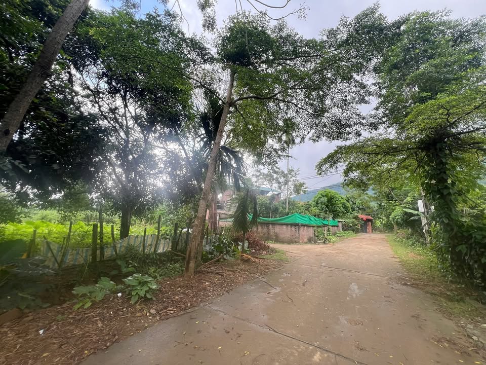 Đất thổ cư 800m² tại Cao Sơn, Lương Sơn - Sổ đỏ chính chủ, giá chỉ 3 triệu/m²!