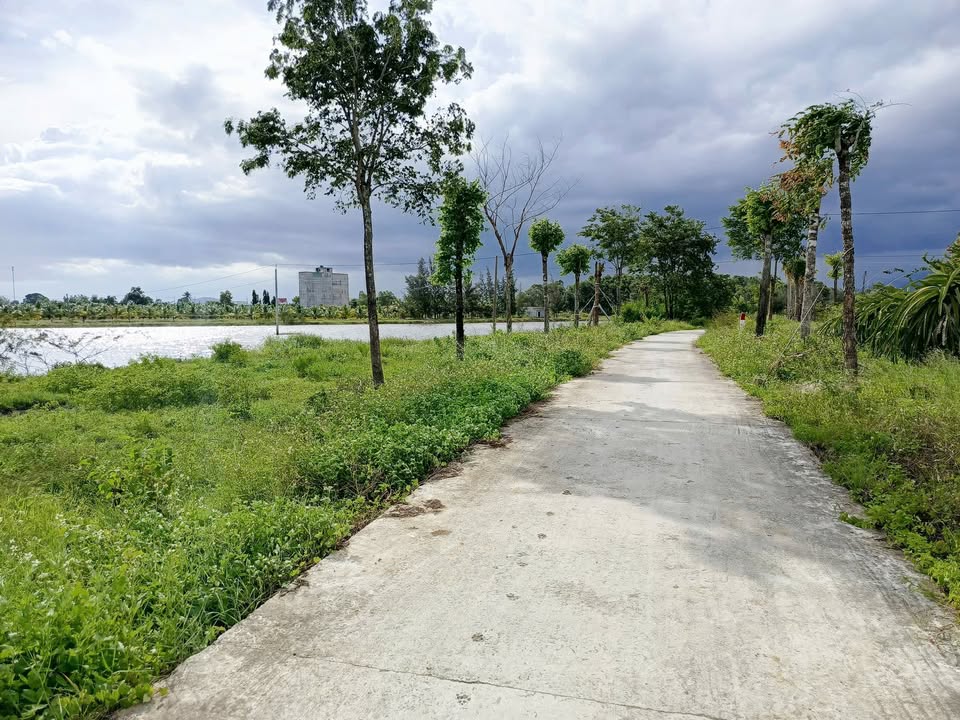 Đất Cây Trồng Thôn Đại Lộc, Xã Hàm Hiệp, 1100m² chỉ 850 triệu - Đầu tư sinh lời!