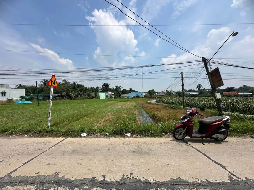 Đất lúa 1000m² mặt tiền đường Lương Văn Hội, Tân An - Giá chỉ 1.85 tỷ