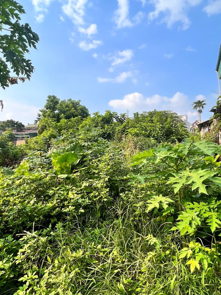 Lô đất đẹp Tùng Quan, Đại Cương 76m² - Sổ đỏ chính chủ, đầu tư sinh lời!