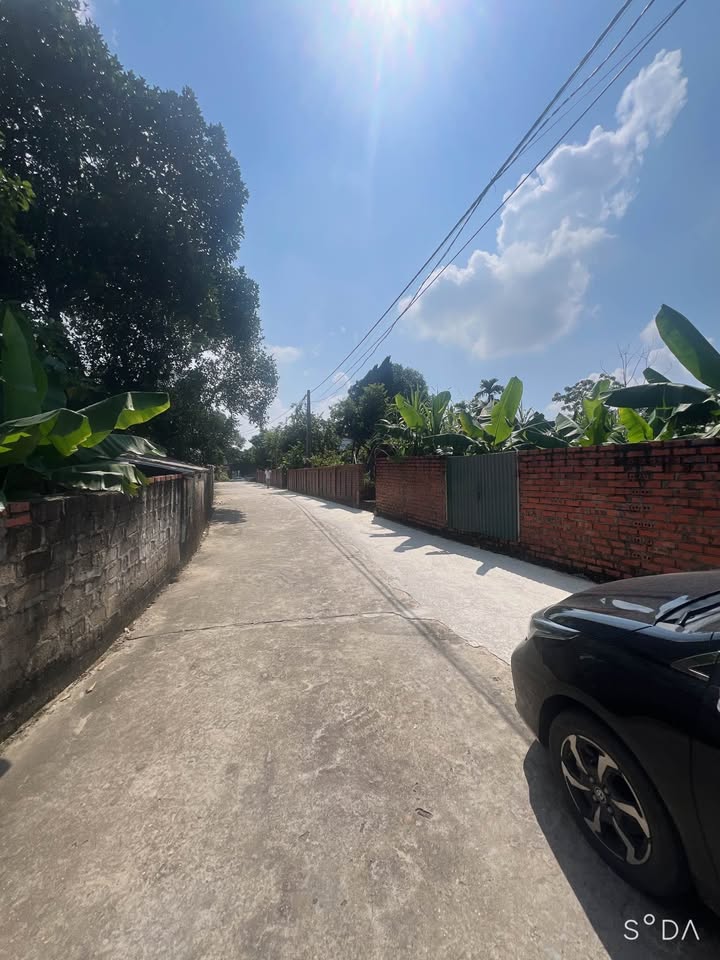 Đất nền Thanh Đình, Việt Trì 249,9m² giá 1 tỷ - Đầu tư sinh lời hấp dẫn!