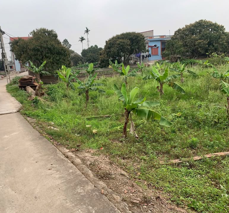 Lô đất 96.6m² Tam Đa, Hưng Yên giá chỉ 880 triệu - Chính chủ bán gấp!