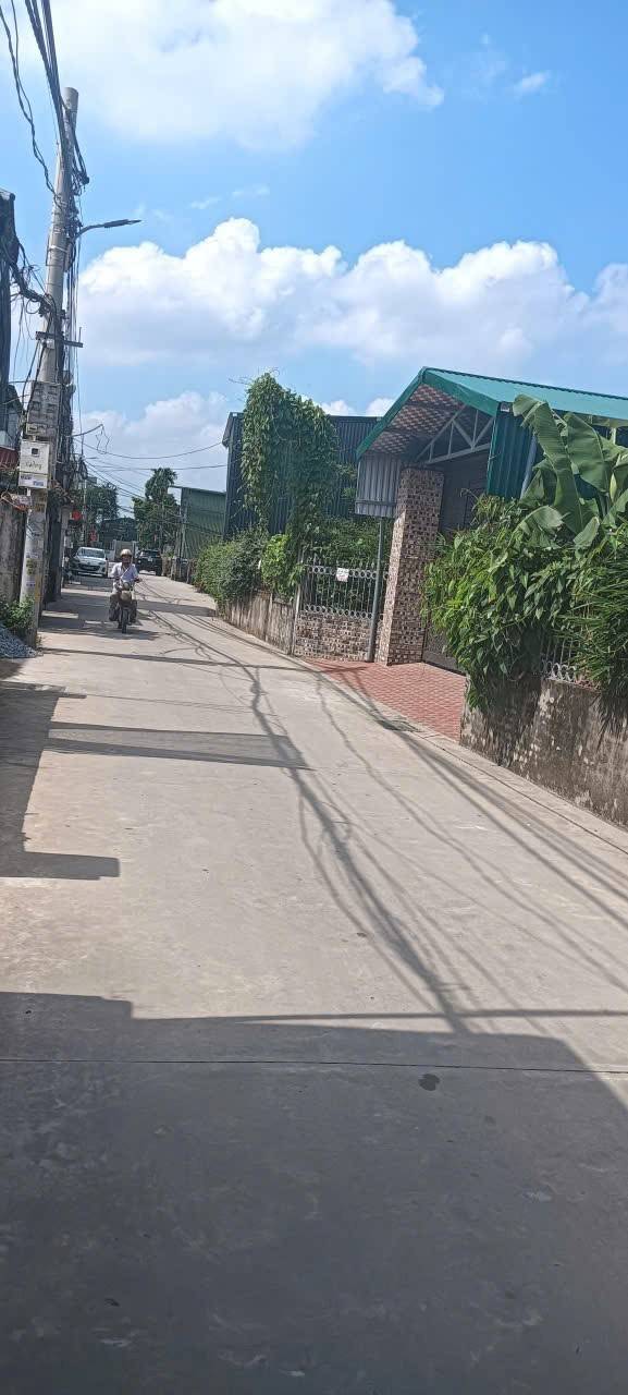 Đất lô góc Tự Nhiên Thường Tín 52,3m² giá 1,99 tỷ - Ô tô đỗ cửa thoải mái!