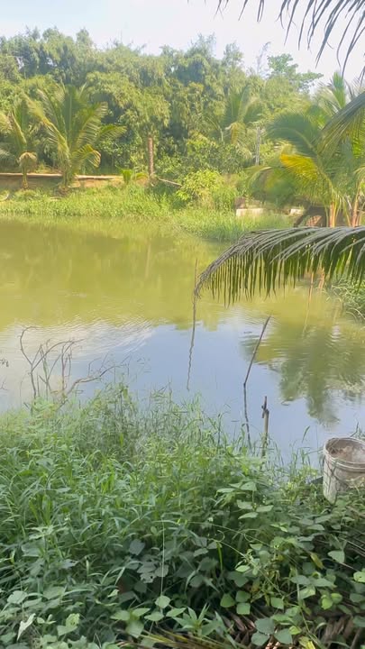 Đất nền Phú Mỹ Bà Rịa - Vũng Tàu 70m² giá 3 tỷ - Tiềm năng đầu tư cao!