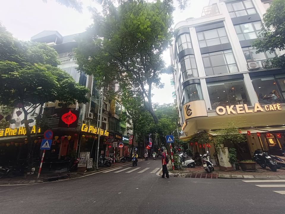 Nhà mặt phố Trần Tử Bình, Cầu Giấy 50m² giá 35 tỷ - Đầu tư sinh lời tuyệt vời!