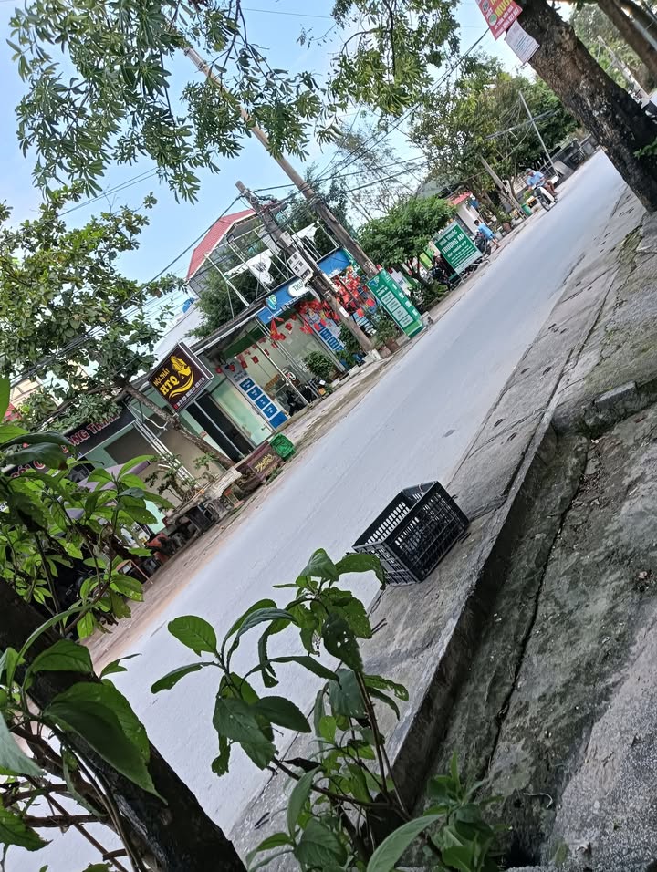 Đất mặt đường Nguyễn Du, Quảng Cư, Sầm Sơn 125m² giá 2.975 tỷ - Cơ hội đầu tư sinh lời cao!