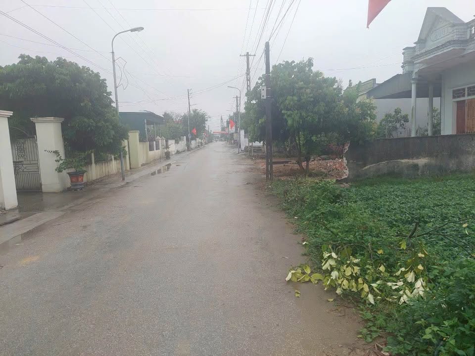 Đất nền chính chủ xã Quảng Lưu 200m² giá rẻ - Cơ hội đầu tư hấp dẫn!