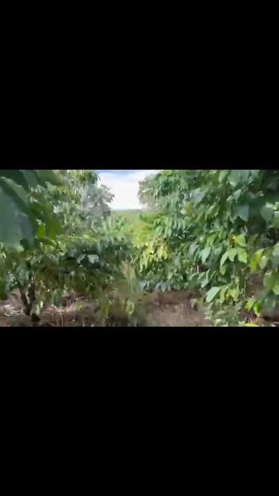 Farm Bù Đăng 20,000m² giá 3 tỷ - Căn nhà mới xây đẹp!