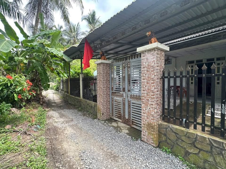 Đất thổ cư Hưng Khánh Trung A, Mỏ Cày Bắc 1855m² - Giá chỉ 1.5 tỷ thương lượng!