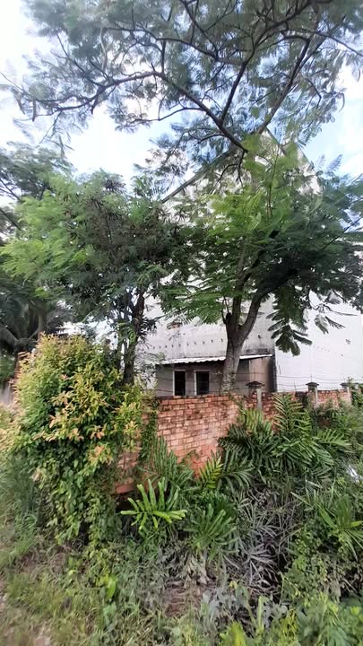 Đất nền Cần Giờ 667m² giá thỏa thuận - Tiềm năng sinh lời lớn!