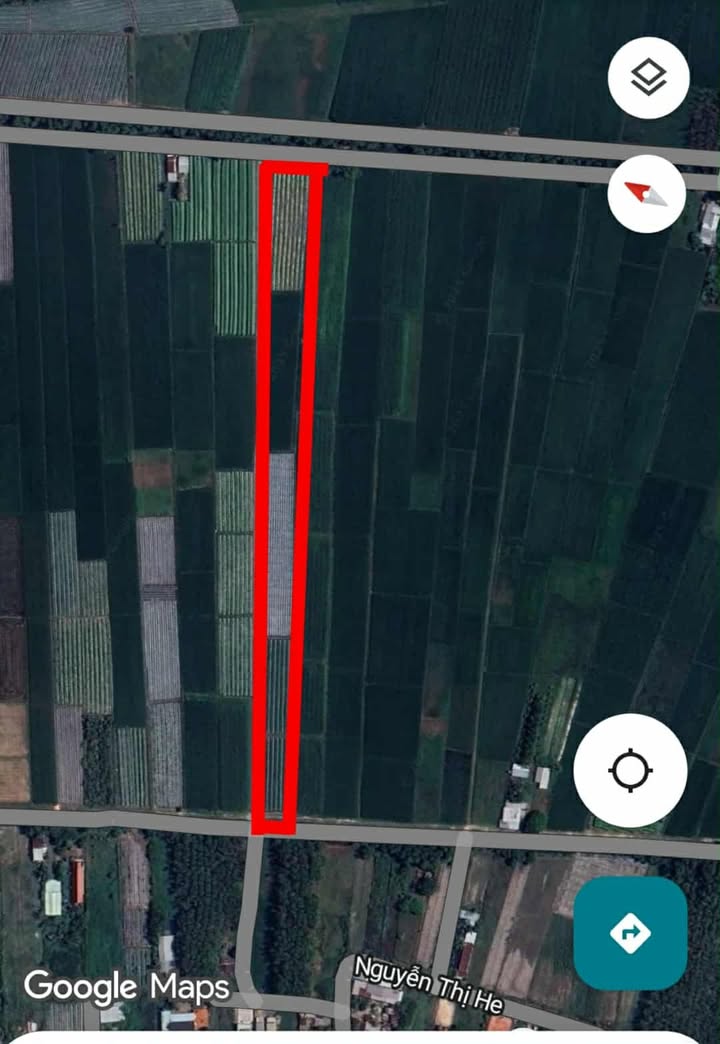 Đất trồng cây lâu năm 10.000m² tại Trung Lập Thượng, Củ Chi - Giá chỉ 1.1 triệu/m²!