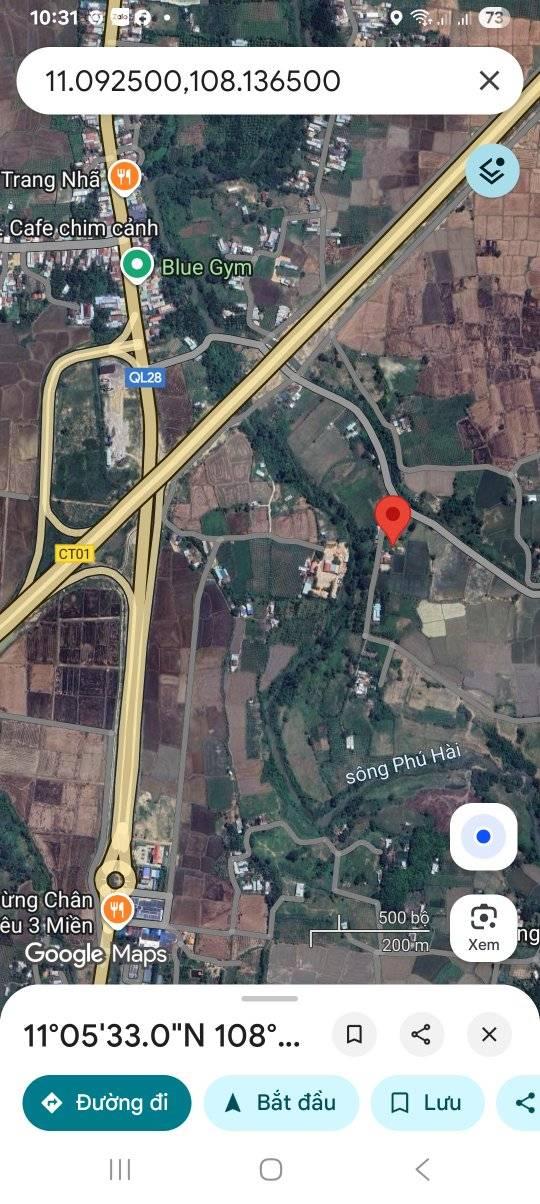 Đất nông nghiệp 953m² tại thị trấn Ma Lâm, giá chỉ 350 triệu - Đầu tư sinh lời ngay!