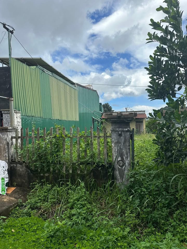 Đất nền Pơng Drang, Krông Búk 240m² giá 1.25 tỷ - Sổ đỏ chính chủ!