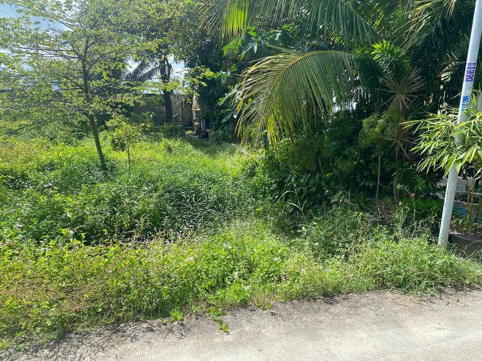 Đất nền Tân Xuân, Hàm Tân 135m² giá 490 triệu - Cơ hội đầu tư sinh lời cao!