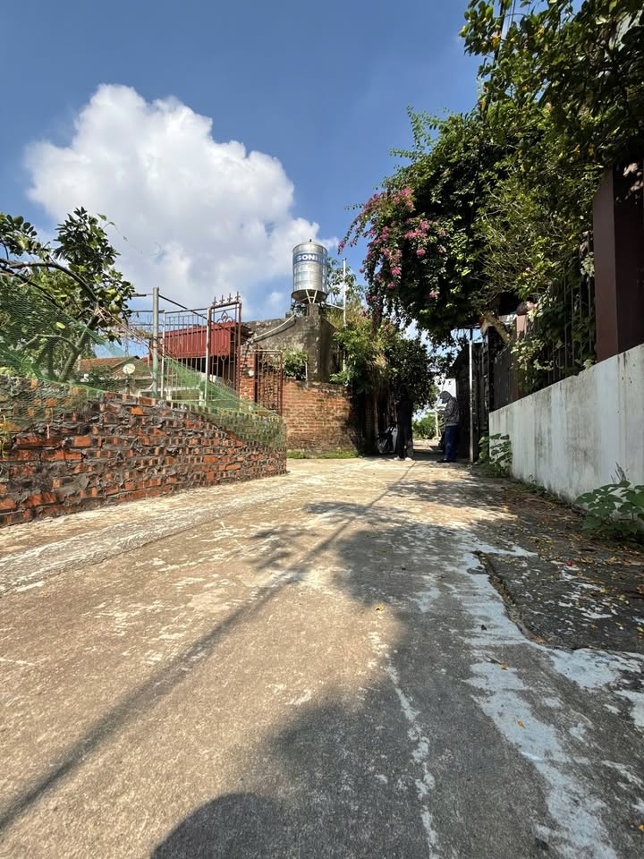 Lô đất đẹp xã Tráng Việt, huyện Mê Linh 84.2m² - Vị trí vàng cho đầu tư!