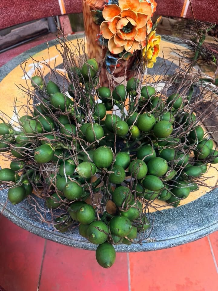 Đất nền Xuân Hòa, Phúc Yên 88.8m² giá 2 tỷ - Vị trí đắc địa đầu tư sinh lời!