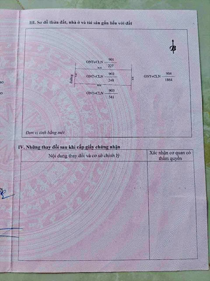 Đất nền Tăng Thành, Yên Thành 255m² giá thỏa thuận - Cơ hội đầu tư tuyệt vời!