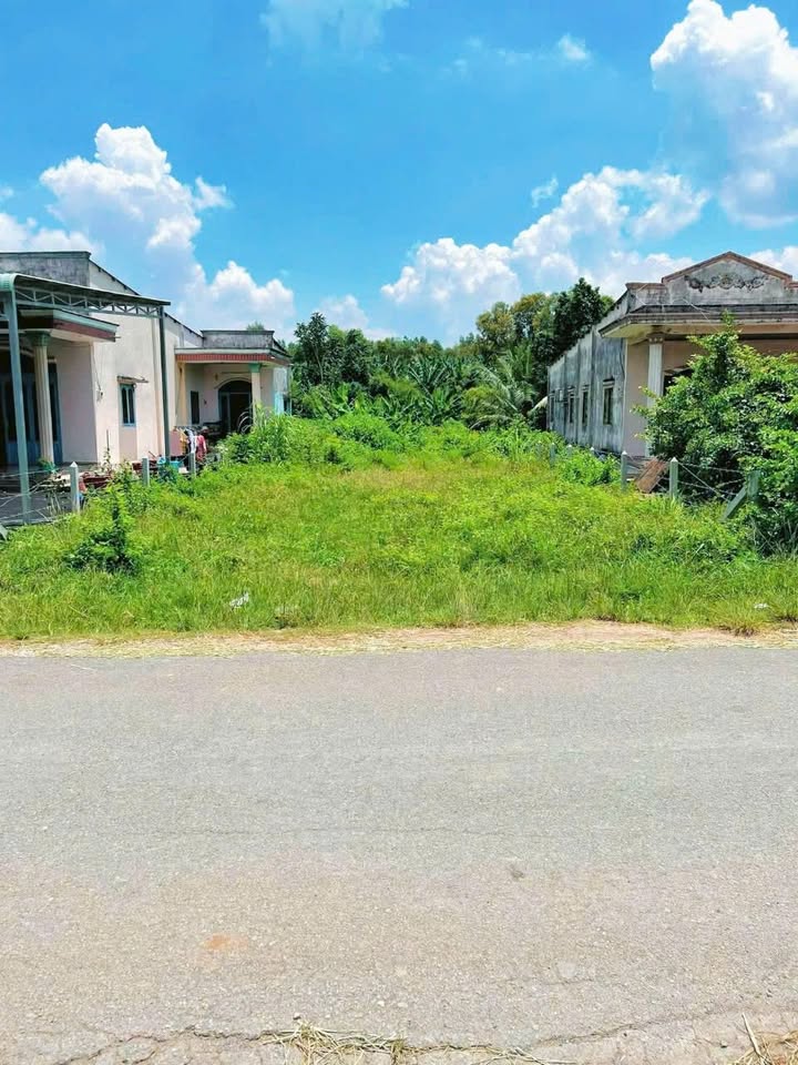 Đất nền mặt tiền đường Bùi Thị Lành, xã Trung An, 580m² giá 5.2 tỷ - Đầu tư sinh lời ngay!