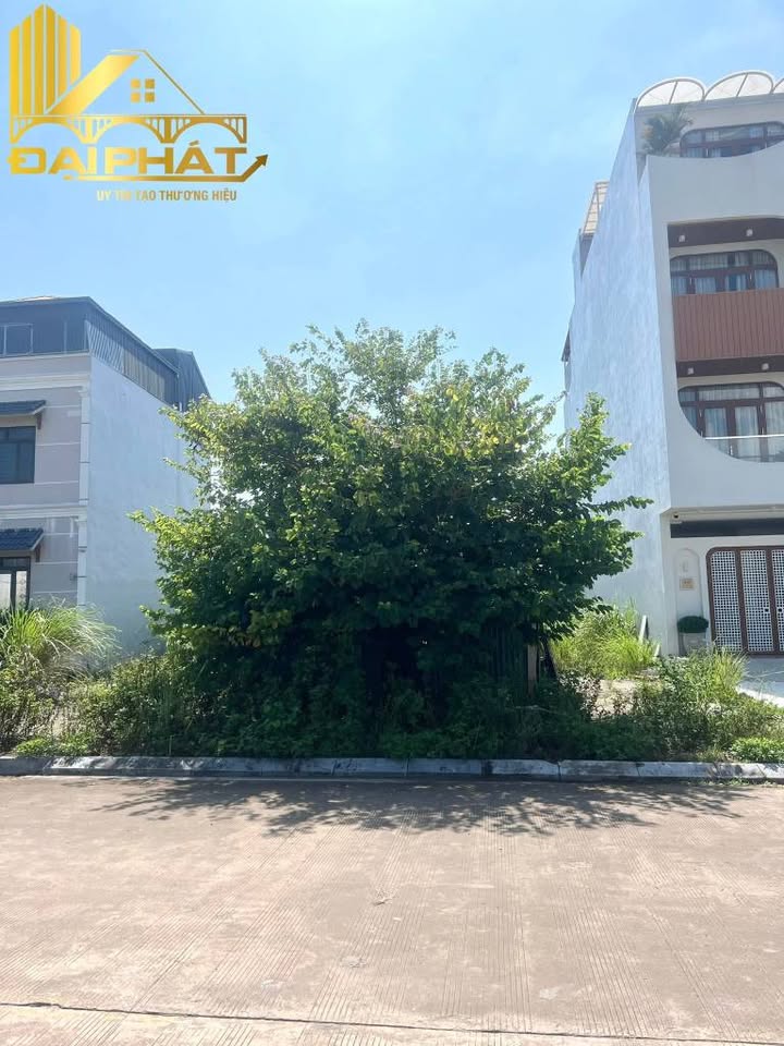 Đất nền Móng Cái 100m² hướng Đông Bắc - Đường Trần Nhật Duật, sổ đỏ chính chủ!