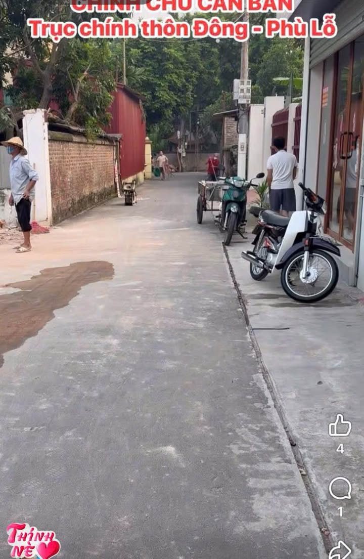 Đất nền trục kinh doanh thôn Đông Phù Lỗ 100m² - Chính chủ bán gấp!