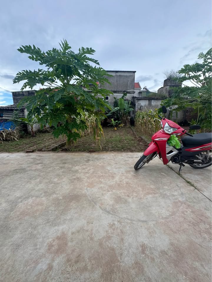 Đất nền Quất Động Thường Tín 46m² giá 1.8 tỷ - Vị trí đắc địa, dân cư sầm uất