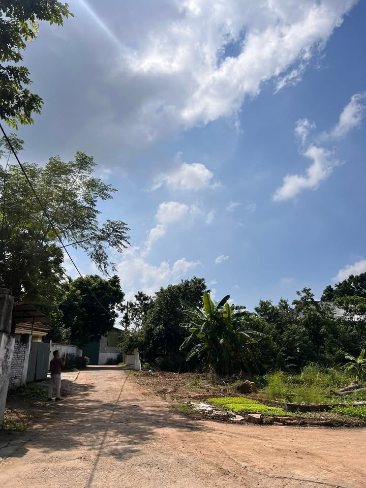 Đất nền Đạo Tú, Tam Dương 97m² - Tiện ích đầy đủ, giao thông thuận lợi!