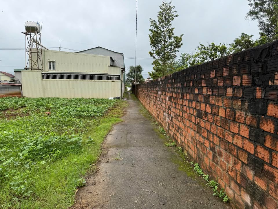 Đất nền Hẻm 388 Lê Đại Hành, Pleiku 198m² - Giá siêu hấp dẫn chỉ 1 tỷ!