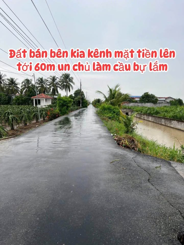 Đất thổ cư 1060m² và 4000m² đất lúa tại An Lục Long - Giá chỉ 4.1 tỷ!