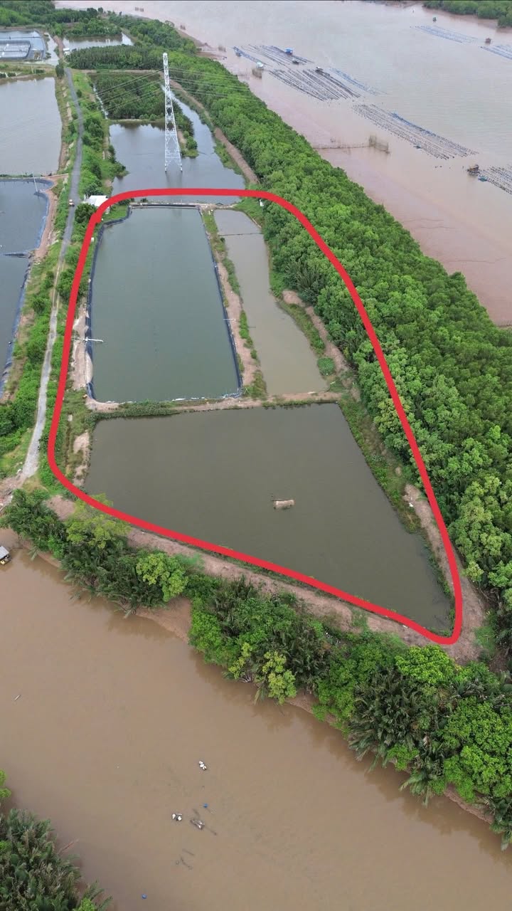 Đất NTTS 30.000m² tại xã Hiệp Thạnh, Duyên Hải, Trà Vinh - Giá chỉ 3.6 tỷ