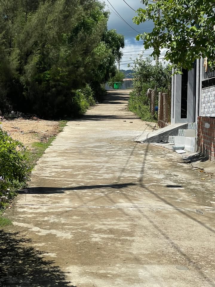 Đất nền Mỹ An, Phù Mỹ 150m² giá 1 tỷ - Cơ hội đầu tư hấp dẫn!