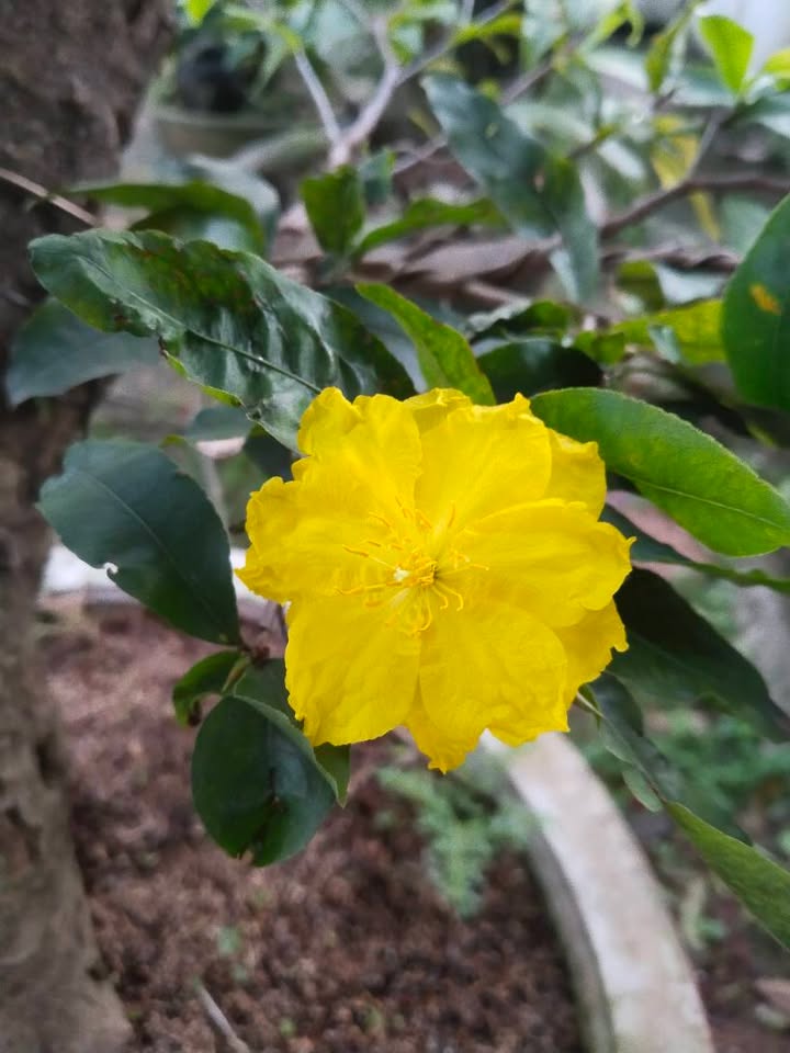 Đất nền 7200m² tại Tân Nghĩa, Hàm Tân - Giá đầu tư chỉ 3 tỷ!