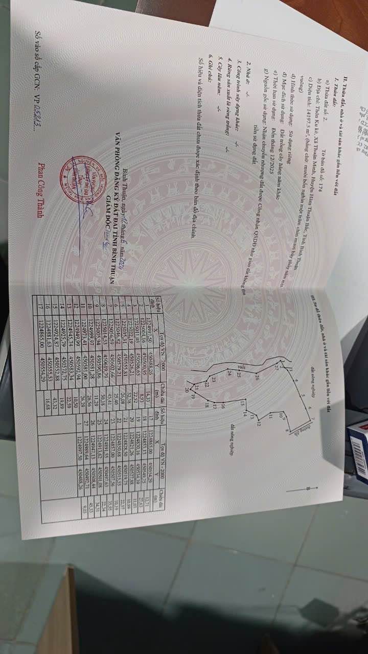 Farm đất 10.000m² tại Thuận Minh, Hàm Thuận Bắc - Giá chỉ 800 triệu, cơ hội đầu tư tuyệt vời!