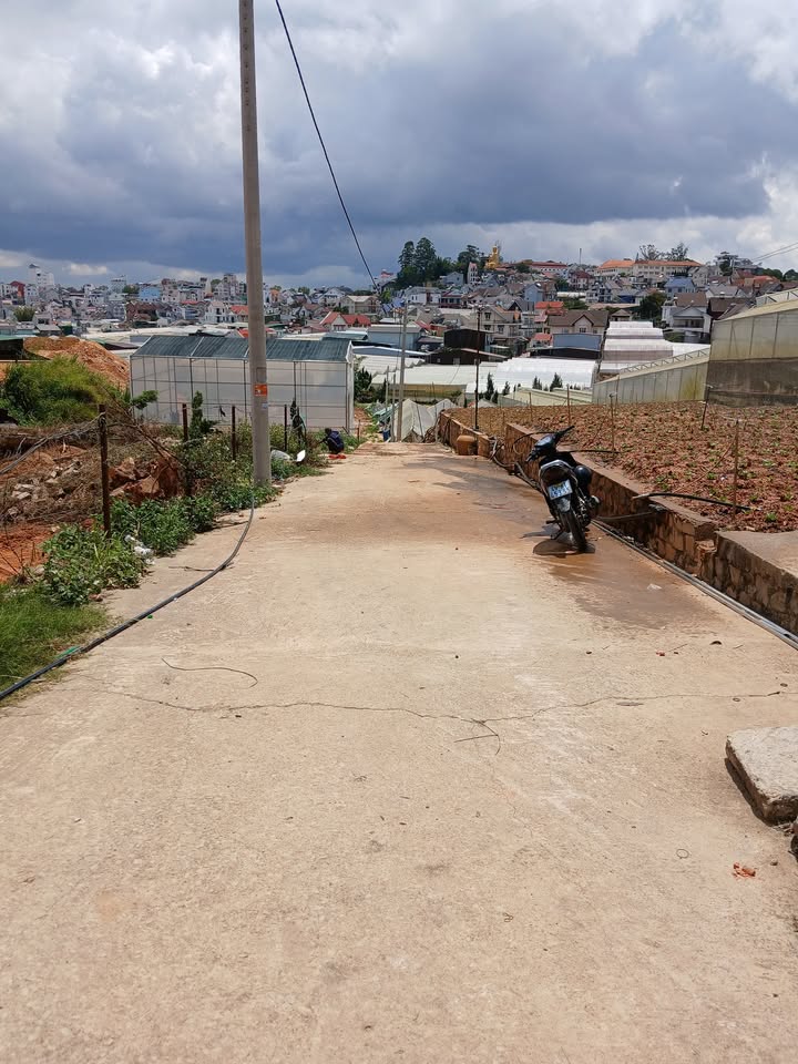 Bán đất hẻm Võ Trường Toản, Đà Lạt 60m² - Khu dân cư an ninh, ô tô vào tận nơi!