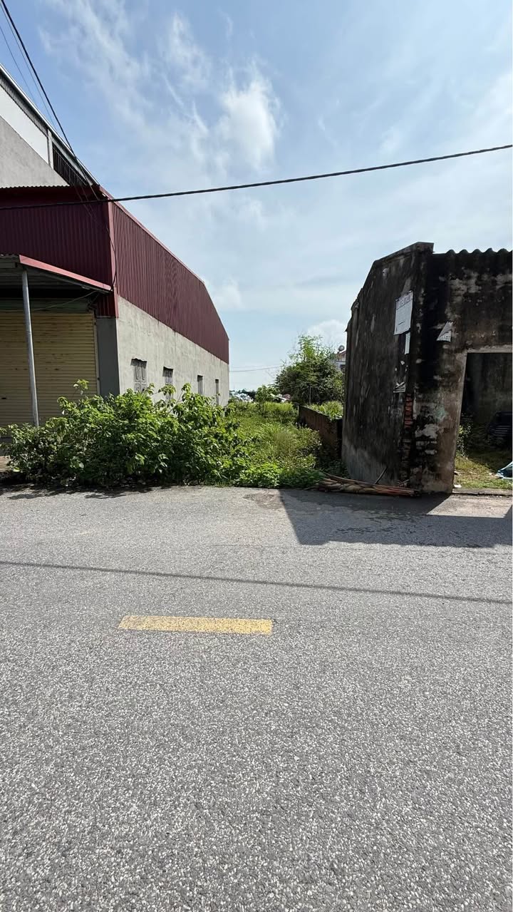 Đất trục kinh doanh Song Liễu, Thuận Thành, 150m² - Giá thỏa thuận, đầu tư sinh lời!