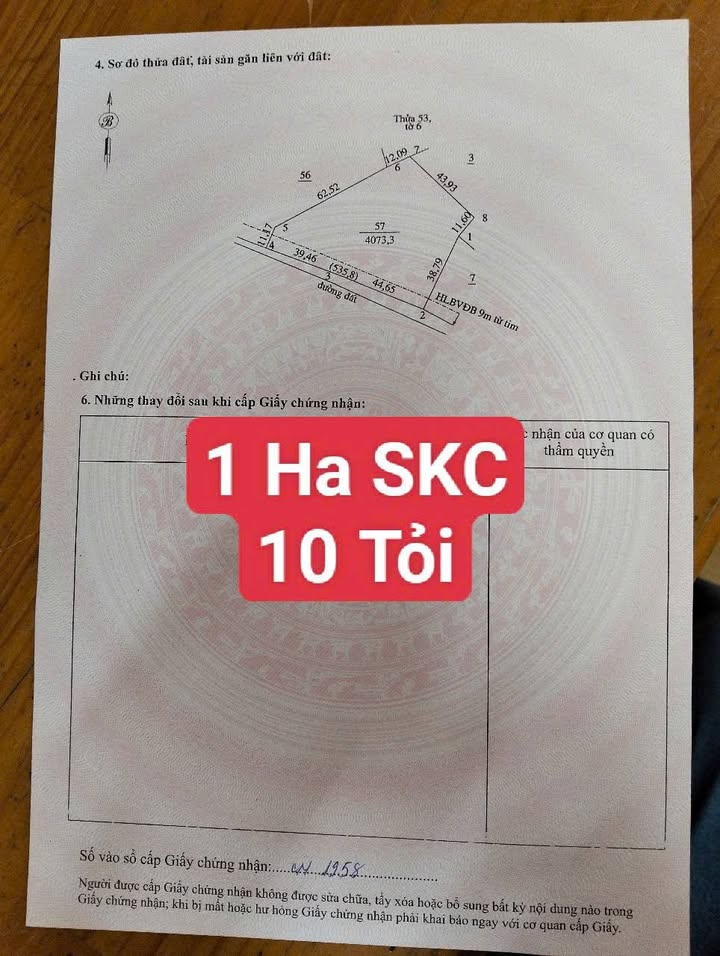 Kho xưởng 9200m² Tân Lợi, Đồng Phú chỉ 10 tỷ - Đường xe container